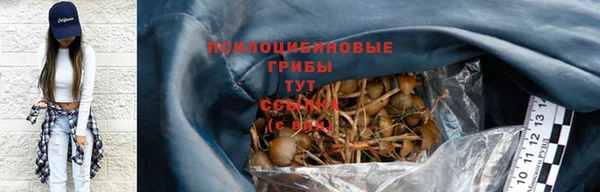 дживик Аркадак