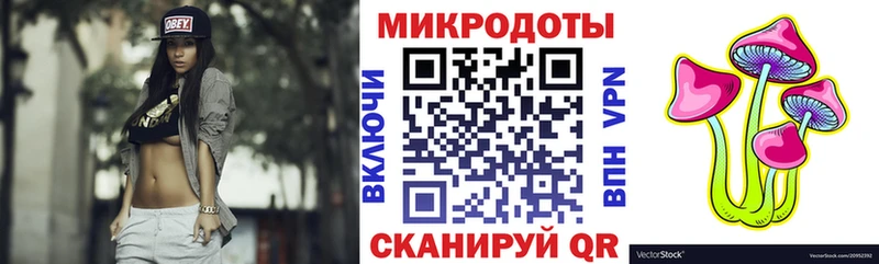 Псилоцибиновые грибы Psilocybe  Электроугли 