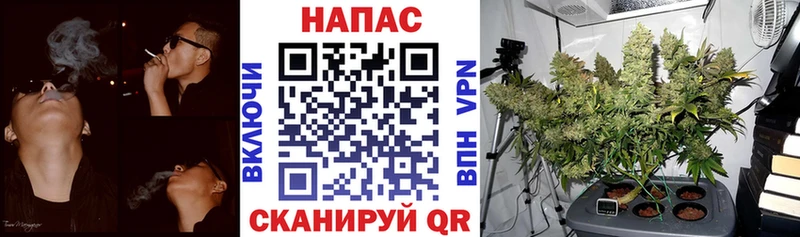 продажа наркотиков  Электроугли  Шишки марихуана гибрид 